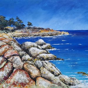 Orange, lichen, coastal, beach, rocks, ocean,seascape,